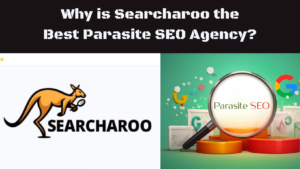 Featured image of an article on Why is Searcharoo the Best Parasite SEO Agency
